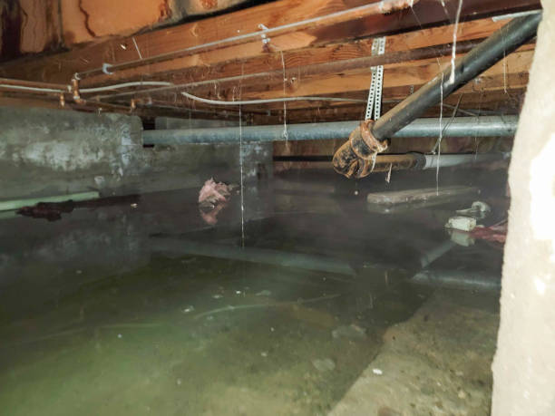 Professional Water damage restoration in TX