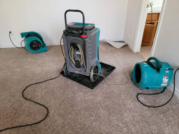 Best 24/7 water damage repair  in Harlingen, TX