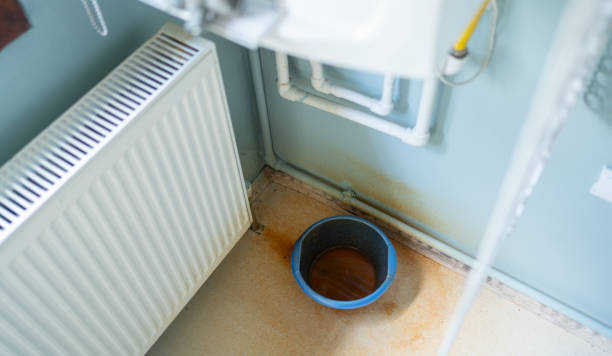 Best Flood restoration services  in Harlingen, TX