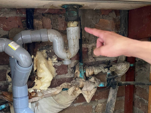  Harlingen, TX Water damage restoration Pros