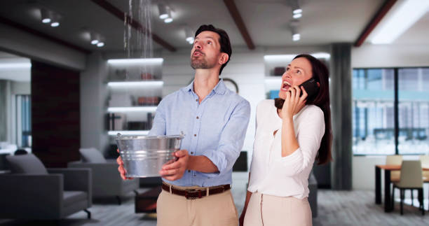 Best 24-hour water damage restoration  in Harlingen, TX
